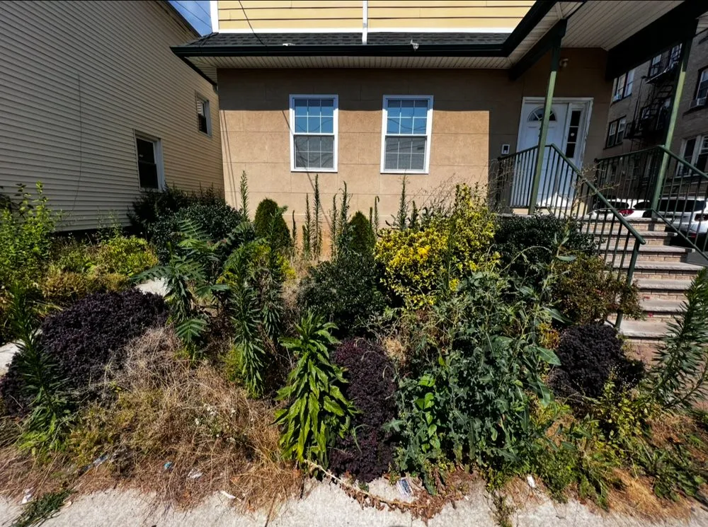 Custom yard maintenance for year-round maintenance in Elizabeth, NJ by Premier Landscape