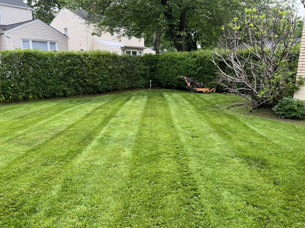 Local landscape design for year-round maintenance across Elizabeth, NJ - Premier Landscape