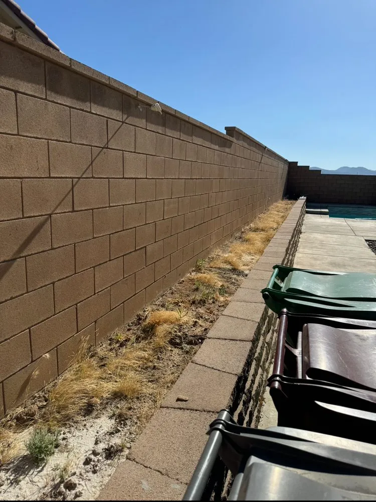 Top-rated lawn mowing service for homes across Hemet, CA - Premier Landscape