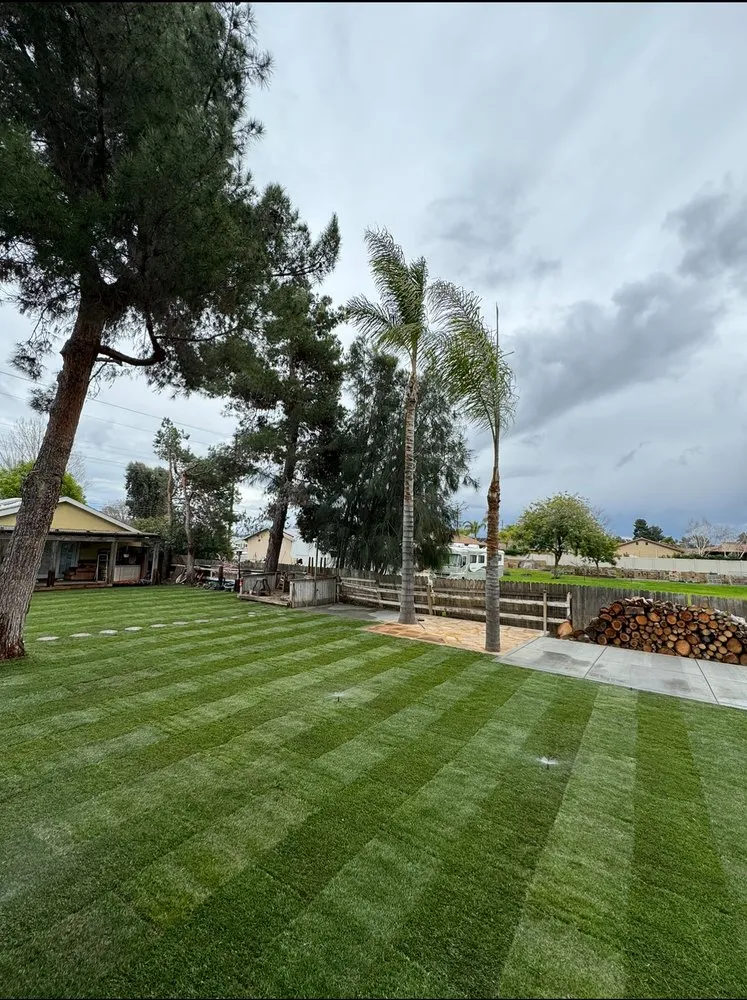 Professional lawn mowing service for year-round maintenance across Hemet, CA - Premier Landscape