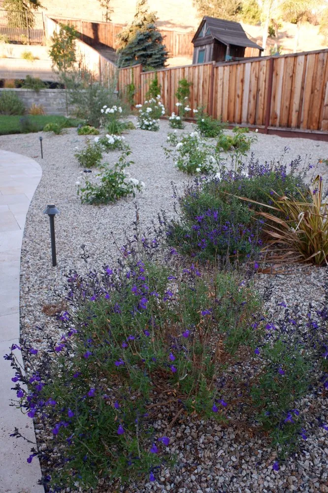 Professional garden landscaping with custom design in Hollister, CA by Premier Landscape