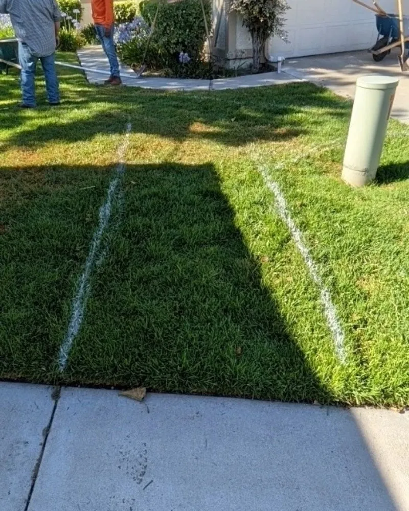 Top-rated landscape design with custom design across Huntington Beach, CA - Premier Landscape