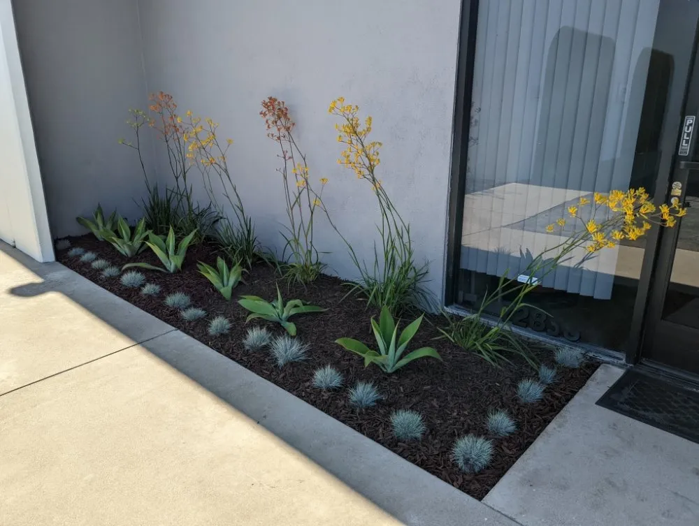 Expert landscape design for outdoor upgrades in Huntington Beach, CA by Premier Landscape