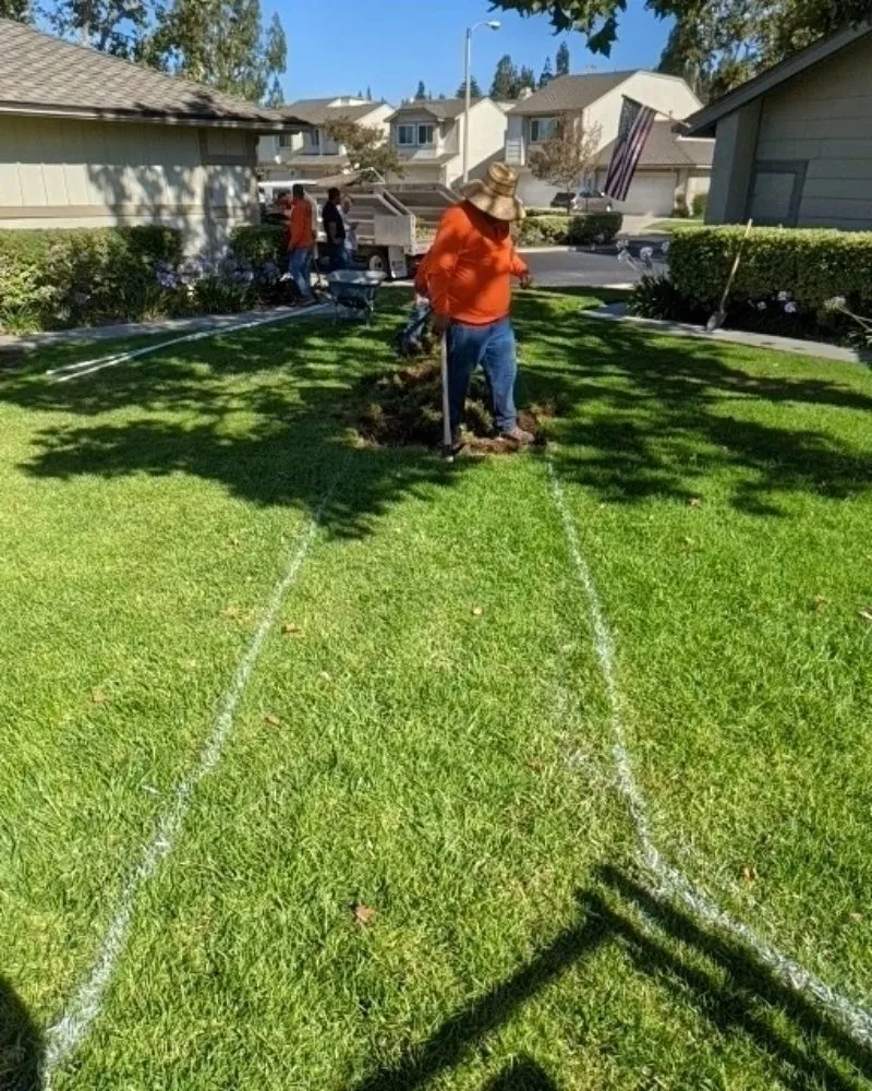 Trusted garden landscaping near you in Huntington Beach, CA by Premier Landscape