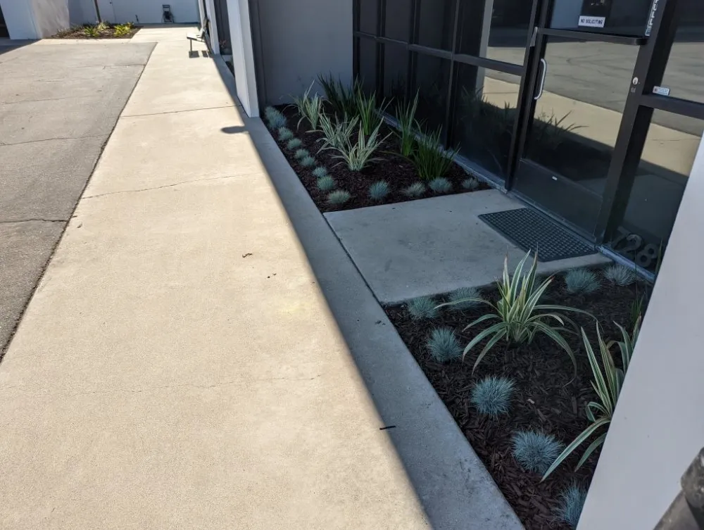 Professional lawn mowing service in Huntington Beach, CA by Premier Landscape