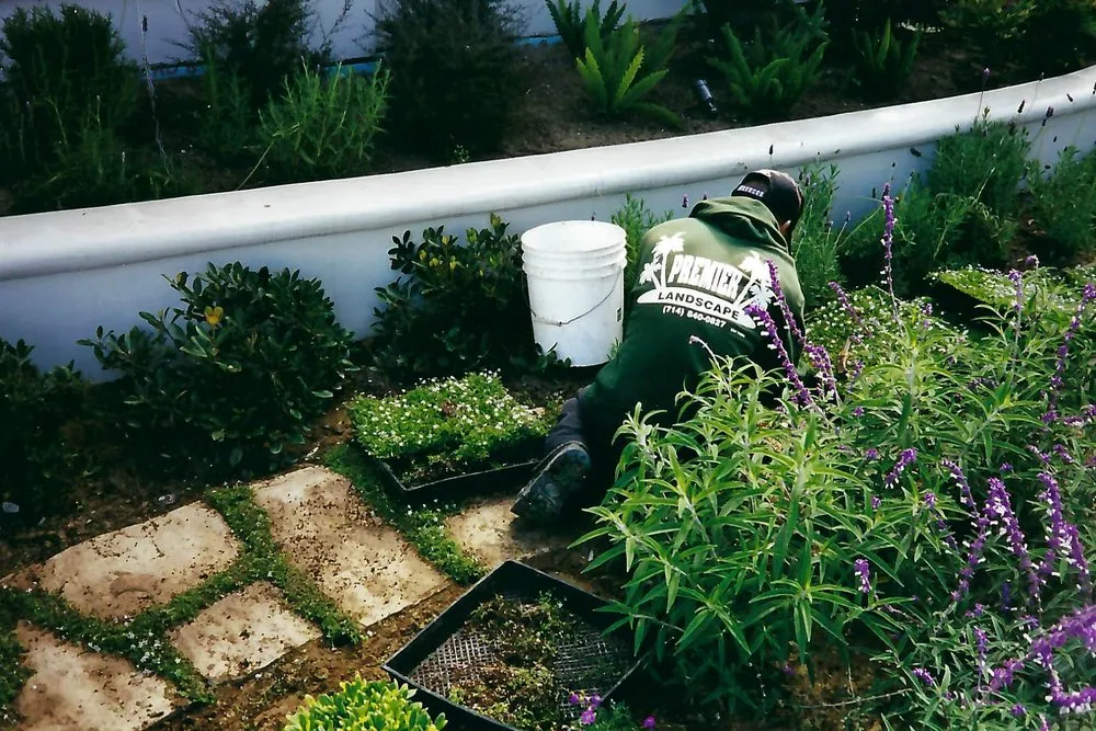 Local landscaping services for residential properties across Huntington Beach, CA - Premier Landscape