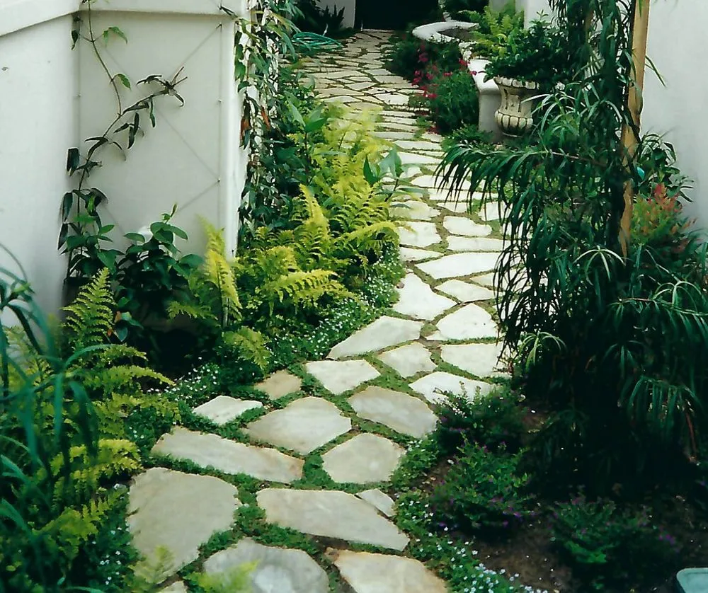 Professional lawn care service with custom design across Huntington Beach, CA - Premier Landscape