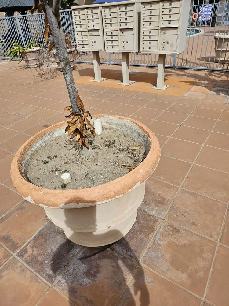 Top-rated landscape installation in Huntington Beach, CA by Premier Landscape