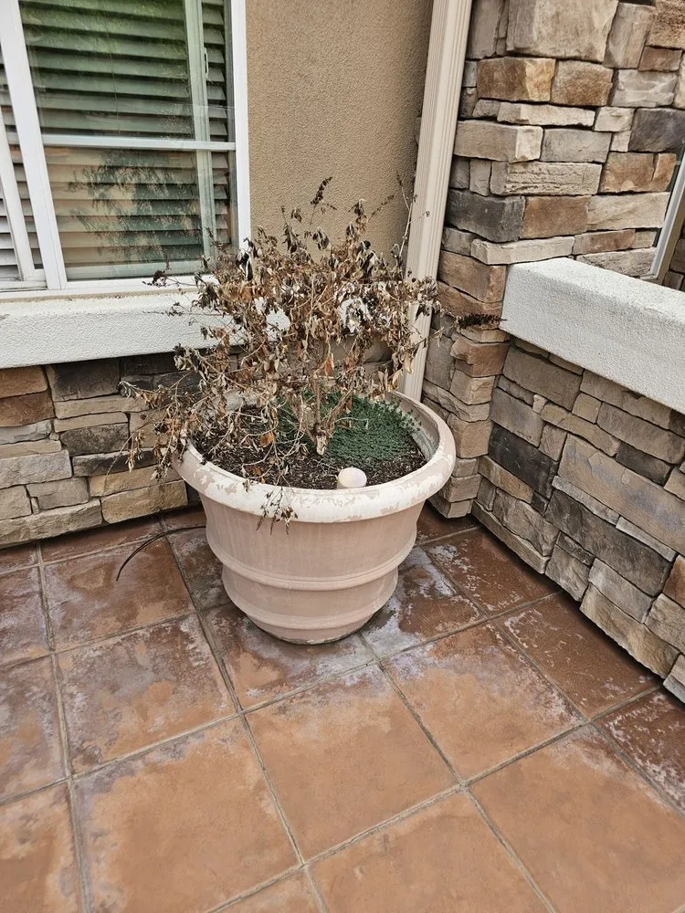 Custom garden landscaping for homes across Huntington Beach, CA - Premier Landscape