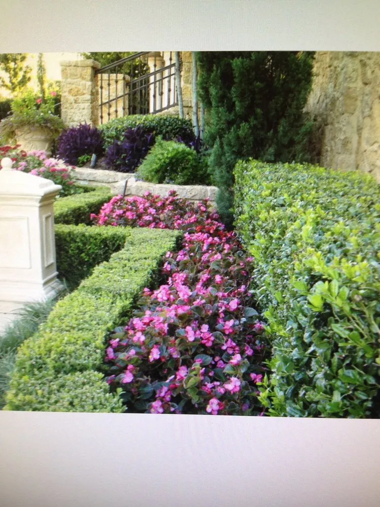 Custom landscaping services in Lewisville, TX - Premier Landscape