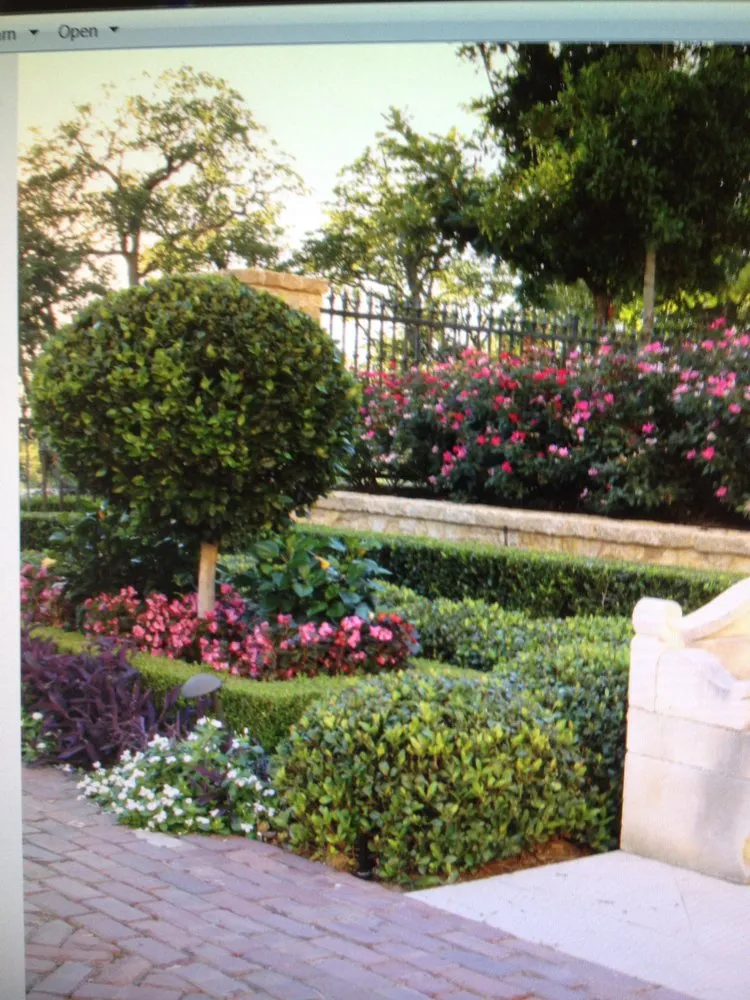 Professional yard maintenance in Lewisville, TX - Premier Landscape