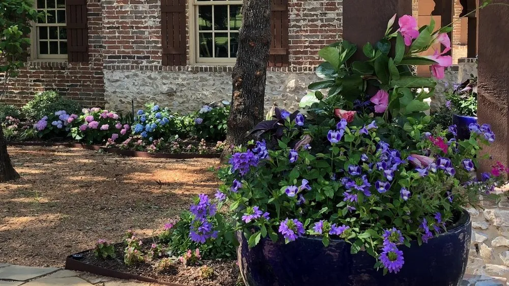 Trusted yard cleanup service experts serving Lewisville, TX - Premier Landscape