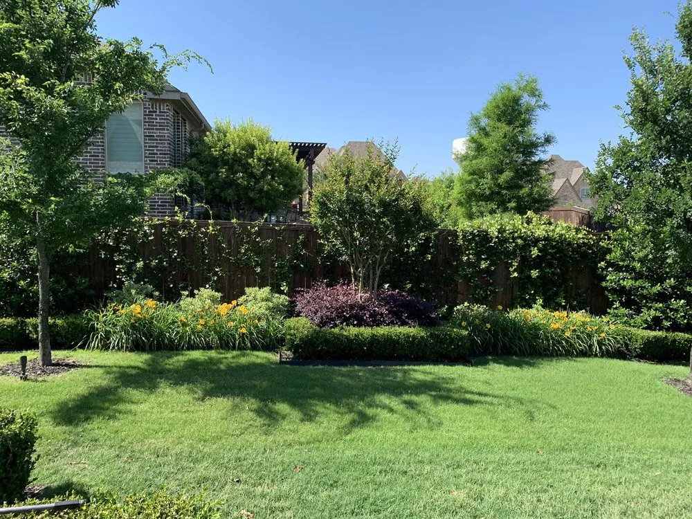 Reliable lawn care service in Lewisville, TX by Premier Landscape