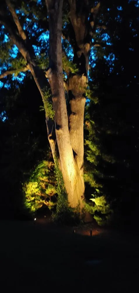 Professional landscape design experts serving Berlin, MA - Premier Landscape Lighting