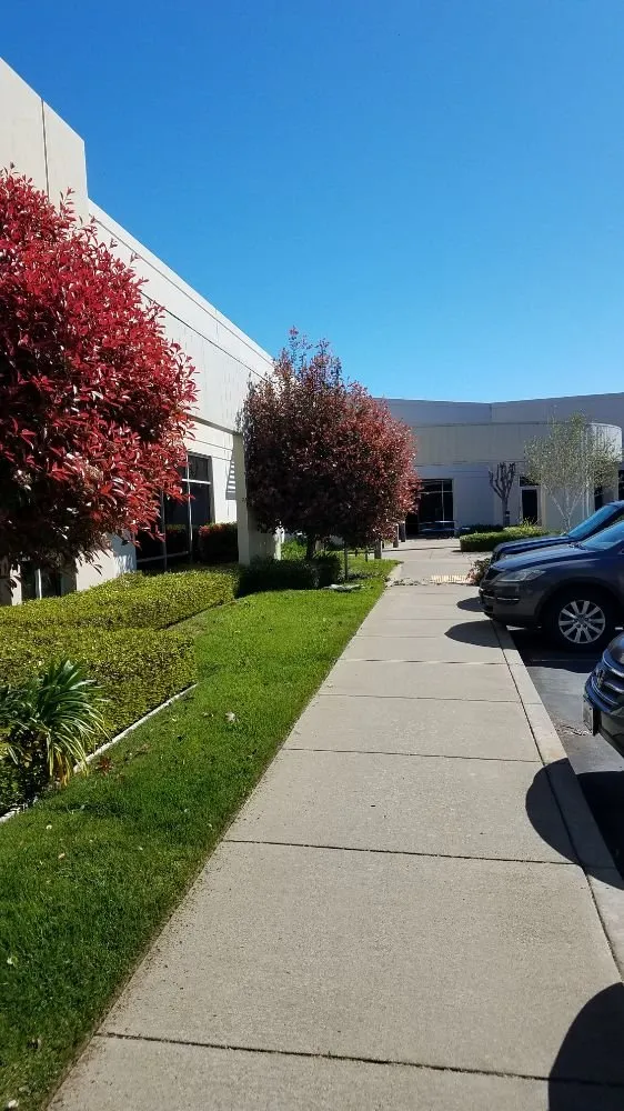 Trusted landscape design near you across Lincoln, CA - Premier Landscape