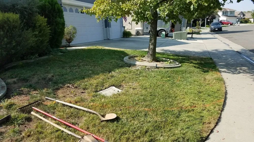 Reliable landscape installation with custom design across Lincoln, CA - Premier Landscape