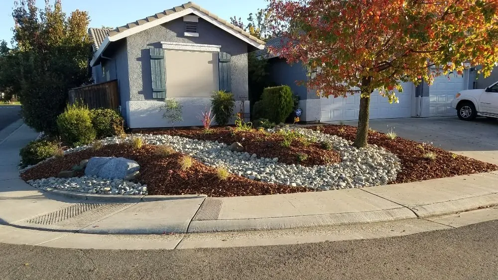 Expert yard maintenance experts serving Lincoln, CA - Premier Landscape