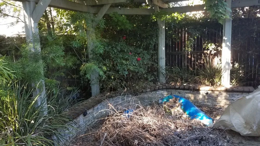 Trusted yard maintenance for year-round maintenance in Lincoln, CA by Premier Landscape