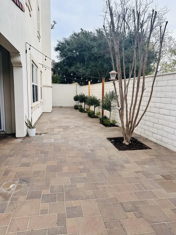 Expert landscaping services in Anaheim, CA - Premier Landscape Renovations