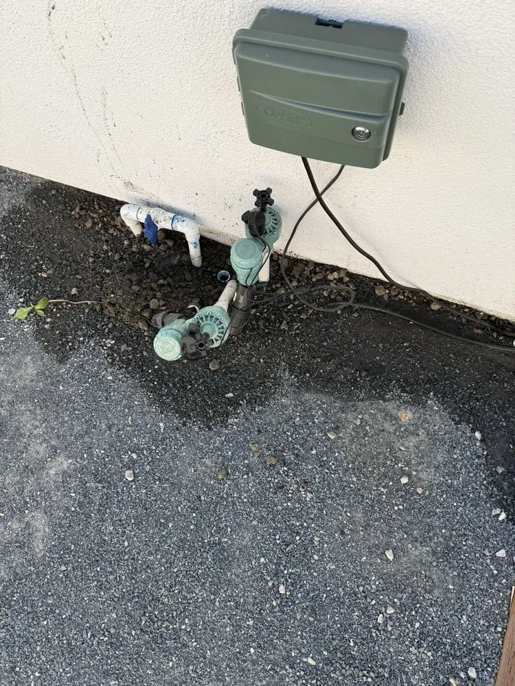 Affordable garden landscaping in Anaheim, CA - Premier Landscape Renovations