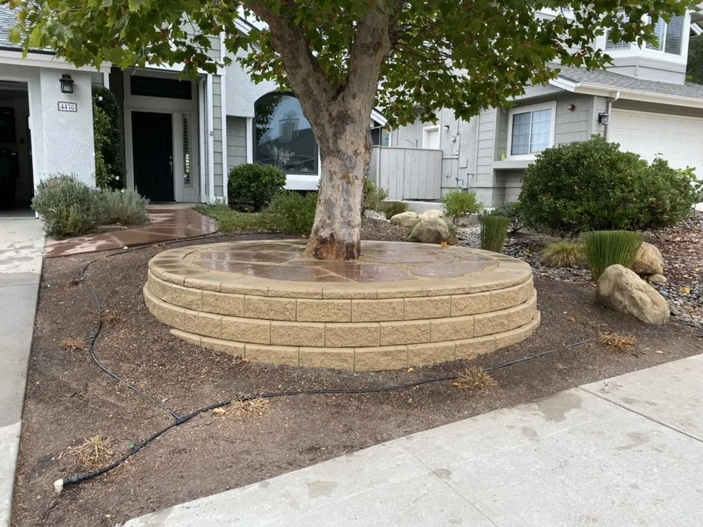 Expert yard cleanup service near you across Santa Maria, CA - Premier Landscape