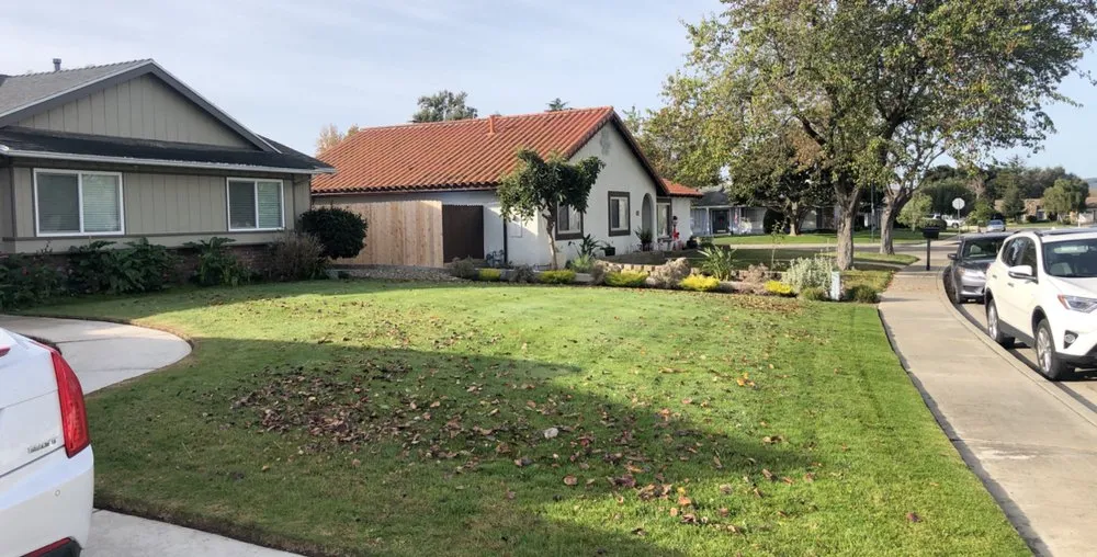 Trusted yard cleanup service experts serving Santa Maria, CA - Premier Landscape