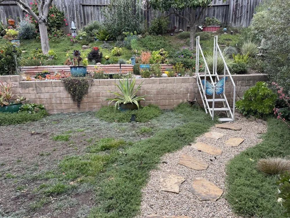 Trusted yard maintenance in Santa Maria, CA by Premier Landscape