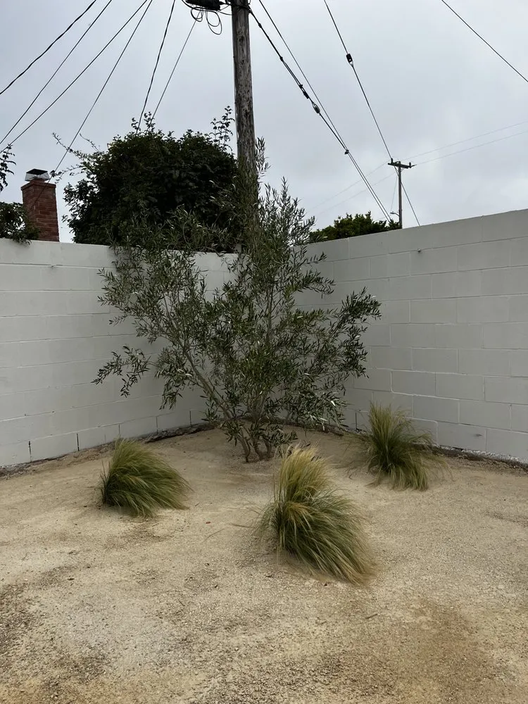 Local residential landscaping for homes in Santa Maria, CA by Premier Landscape