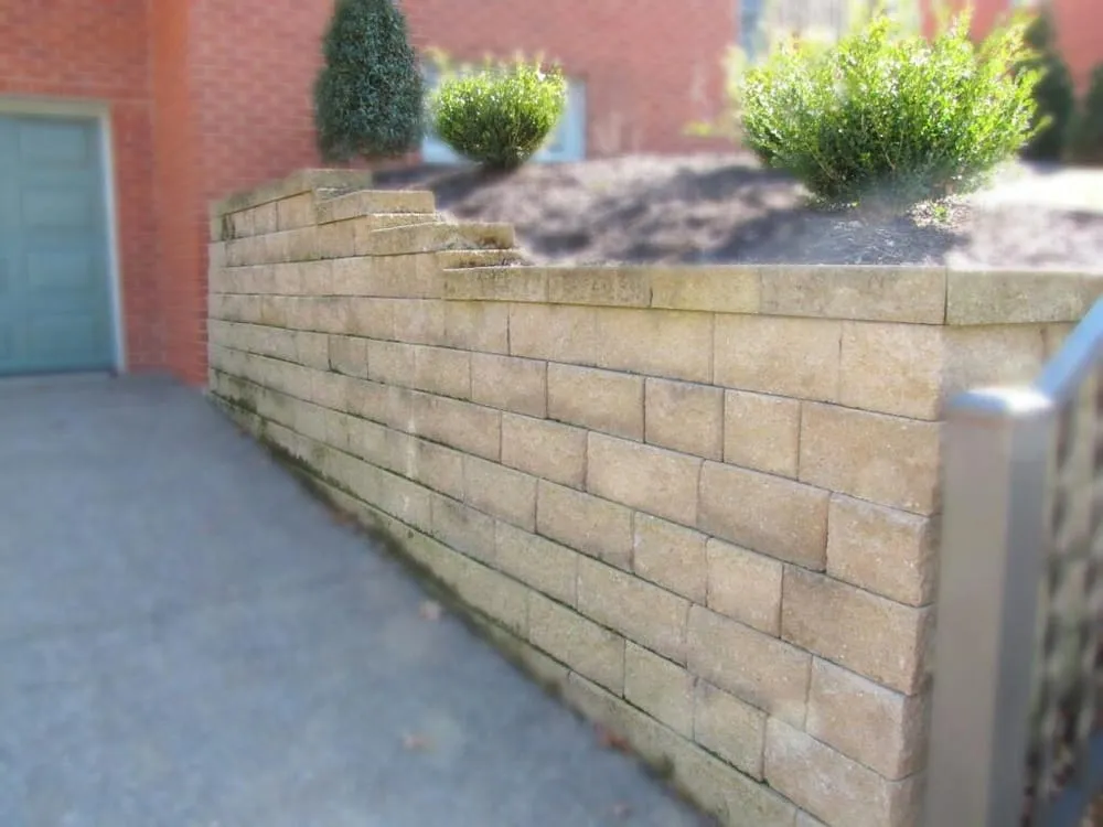 Local yard cleanup service experts serving Bridgeville, PA - Premier Landscape Services