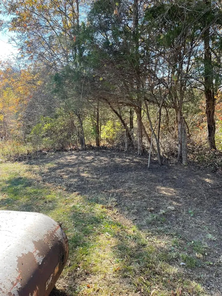 Custom lawn care service for year-round maintenance in Carrollton, GA by Premier landscape services