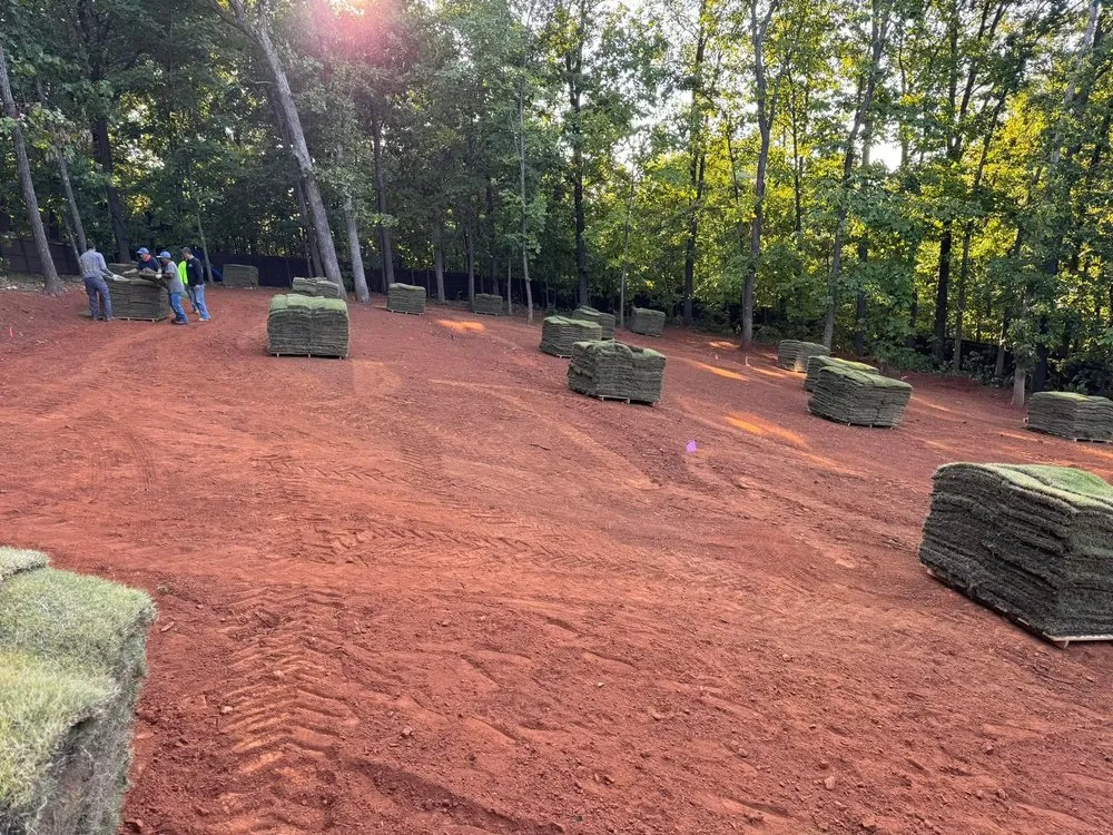 Trusted landscaping services experts serving Carrollton, GA - Premier landscape services