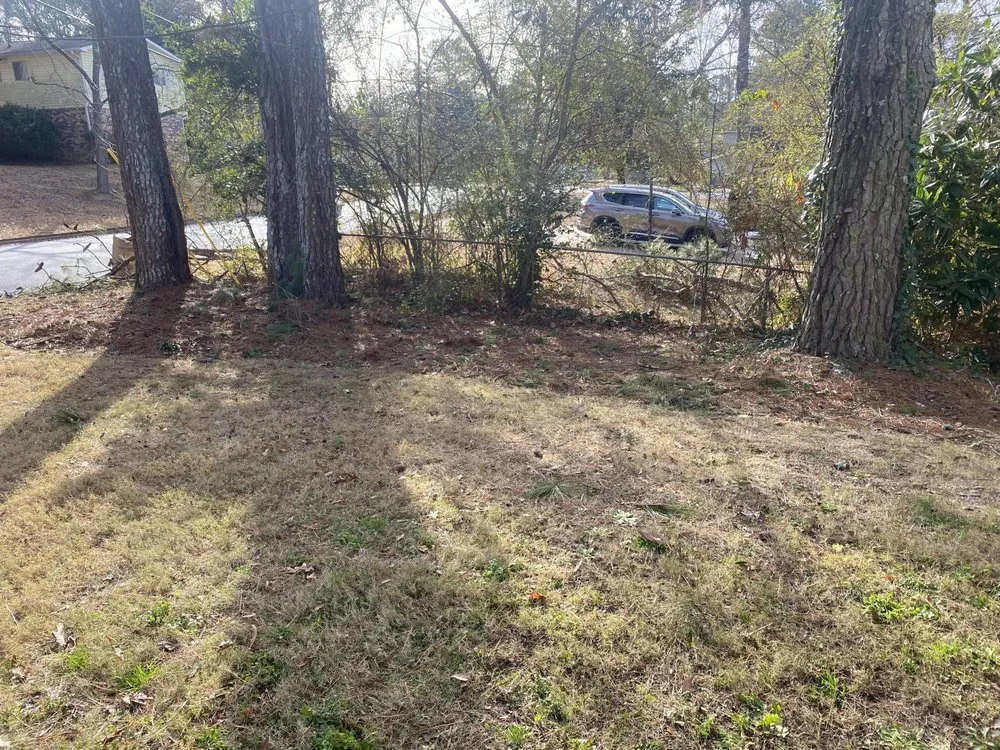 Local outdoor landscaping for outdoor upgrades in Carrollton, GA by Premier landscape services