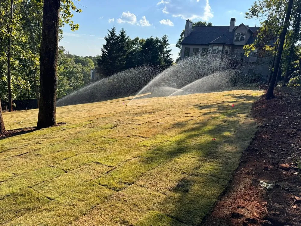 Affordable landscape design experts serving Carrollton, GA - Premier landscape services