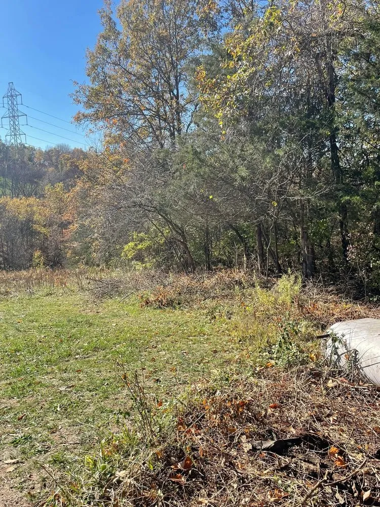 Professional garden landscaping in Carrollton, GA - Premier landscape services