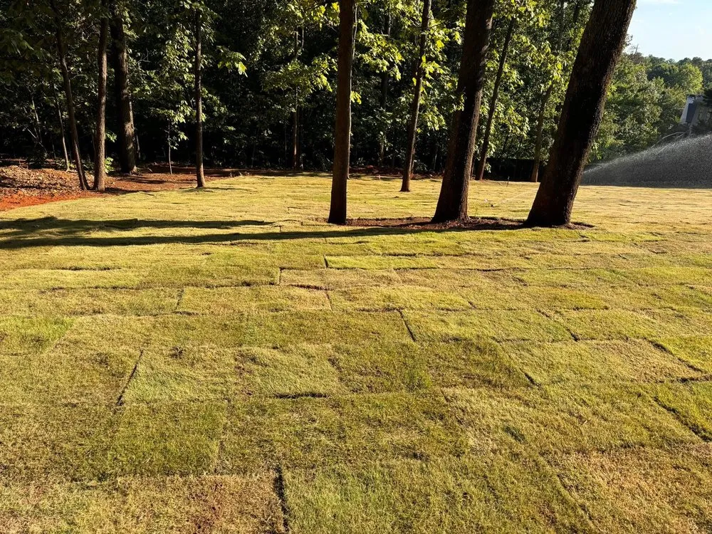 Custom landscaping services in Carrollton, GA by Premier landscape services