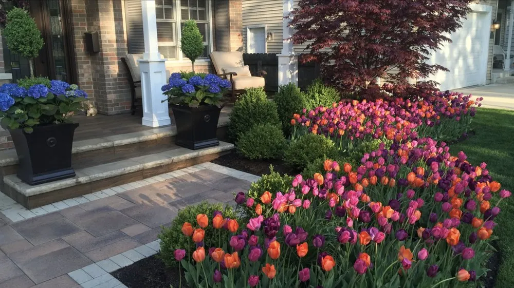 Top-rated residential landscaping near you in Pekin, IL by Premier Landscape Services