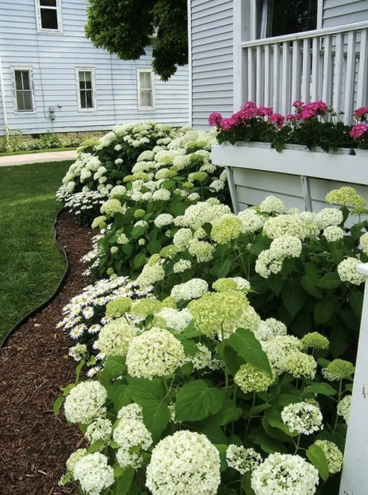 Reliable landscape design for beautiful yards across Pekin, IL - Premier Landscape Services