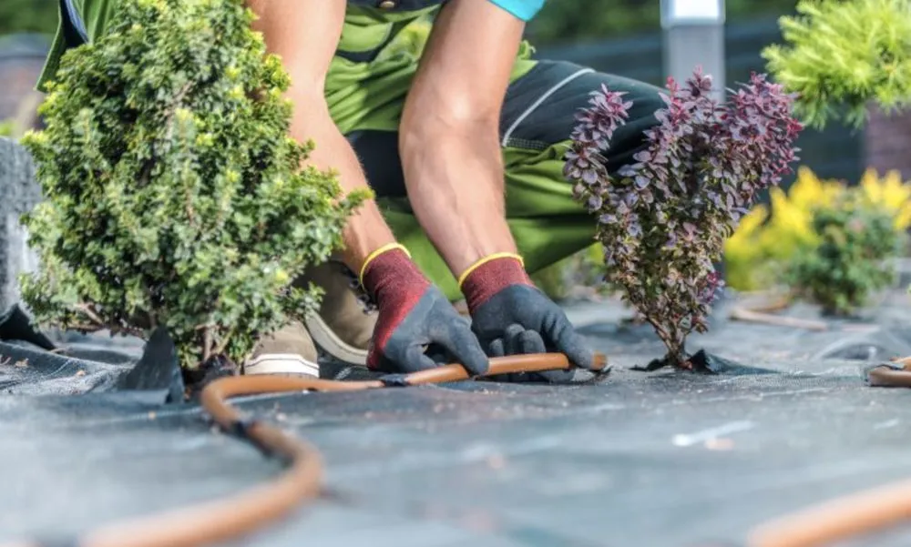 Reliable yard cleanup service with custom design in Pekin, IL by Premier Landscape Services