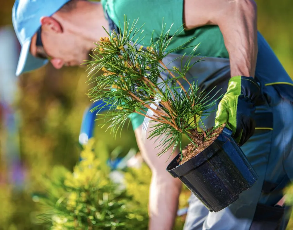 Custom lawn care service in Pekin, IL by Premier Landscape Services