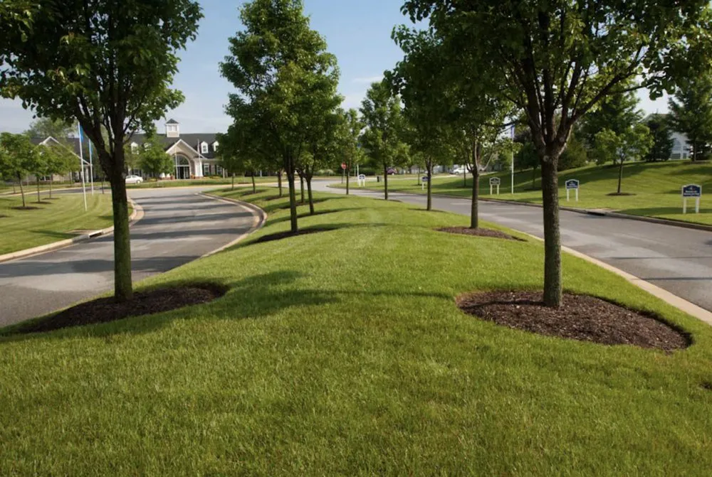Affordable landscaping services near you in Pekin, IL by Premier Landscape Services