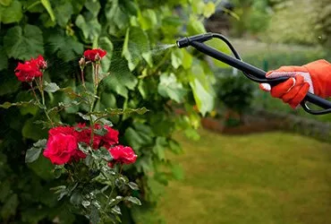 Trusted residential landscaping experts serving Spokane Valley, WA - Premier Landscape Services