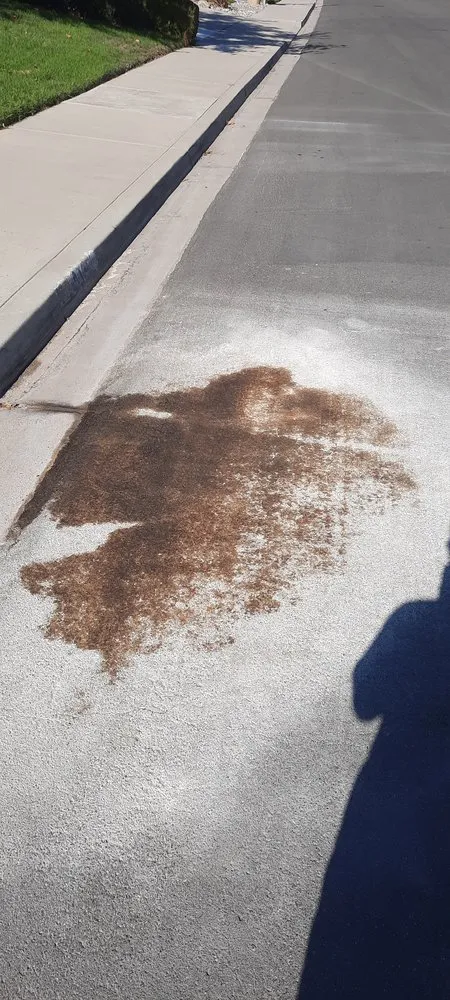 Custom yard maintenance in Camarillo, CA by Premier Landscape Solutions