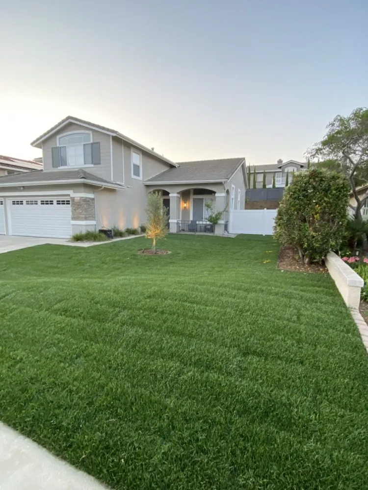 Reliable yard cleanup service in Camarillo, CA by Premier Landscape Solutions