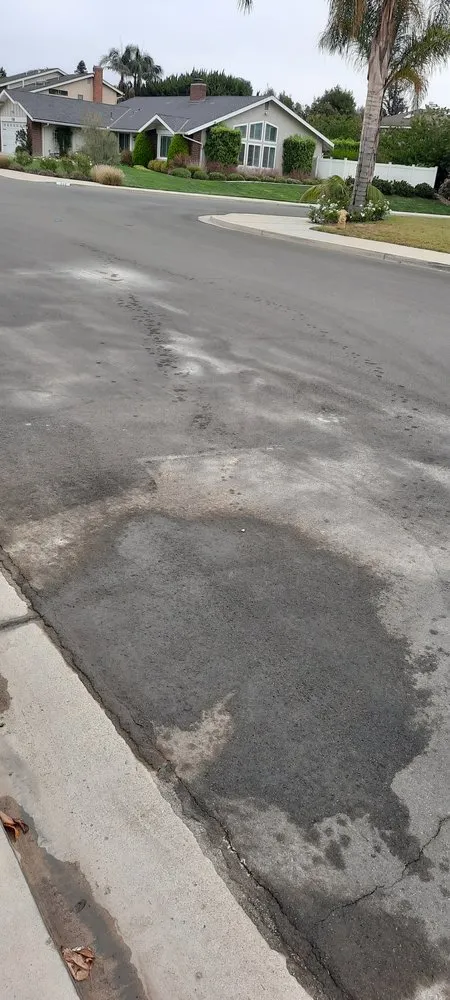 Local landscape installation for year-round maintenance in Camarillo, CA by Premier Landscape Solutions