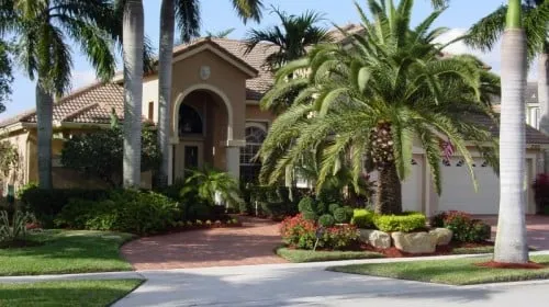 Local outdoor landscaping for year-round maintenance in Vero Beach, FL by Premier Landscape Solutions