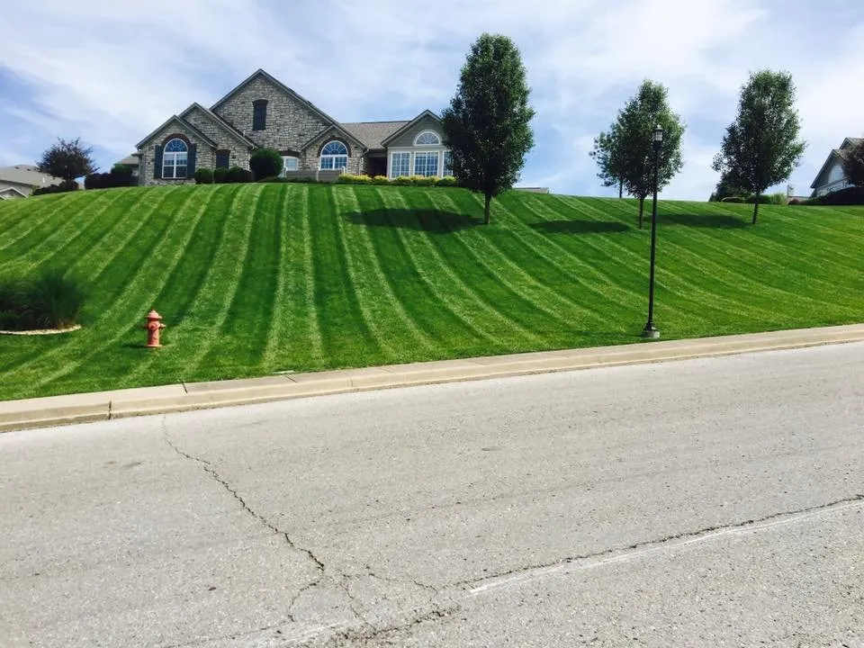 Professional yard cleanup service for homes across Branson, MO - Premier Landscapes