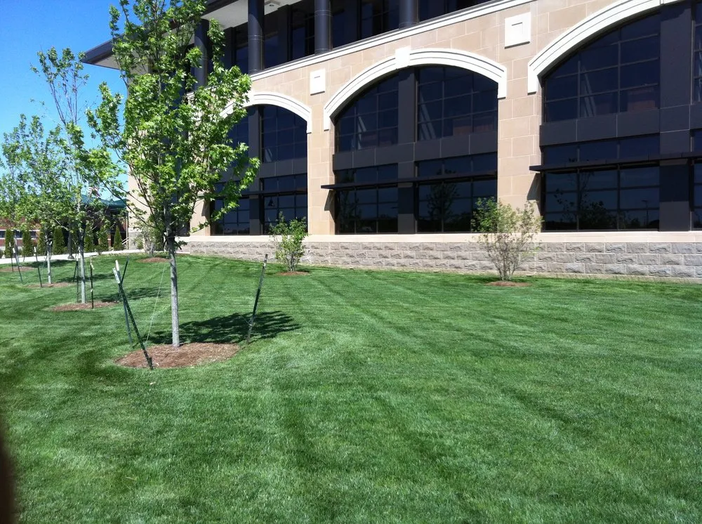 Reliable landscape design experts serving Branson, MO - Premier Landscapes