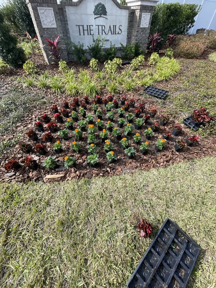 Top-rated landscaping services experts serving Jacksonville, FL - Premier Landscapes