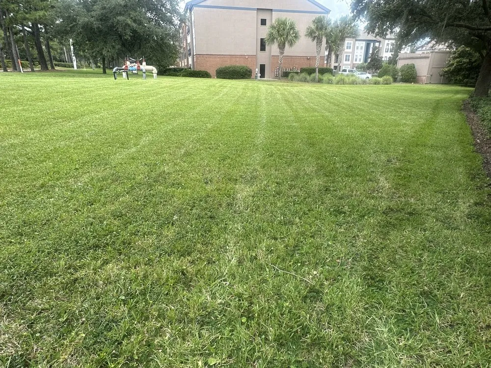 Trusted yard maintenance in Jacksonville, FL by Premier Landscapes