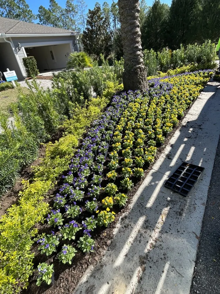 Local lawn care service experts serving Jacksonville, FL - Premier Landscapes